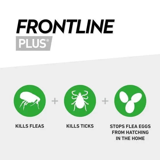 FRONTLINE Plus Flea & Tick Treatment for Large Dogs 20–40kg | 6 Pipettes fragrance