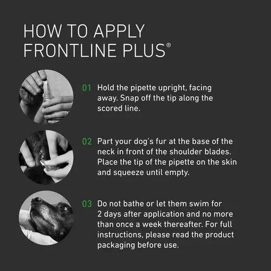 FRONTLINE Plus Flea & Tick Treatment for Large Dogs 20–40kg | 6 Pipettes fragrance
