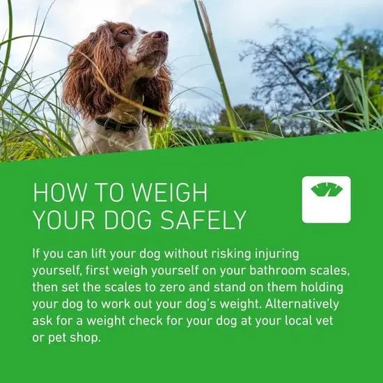 FRONTLINE Plus Flea & Tick Treatment for Large Dogs 20–40kg | 6 Pipettes fragrance