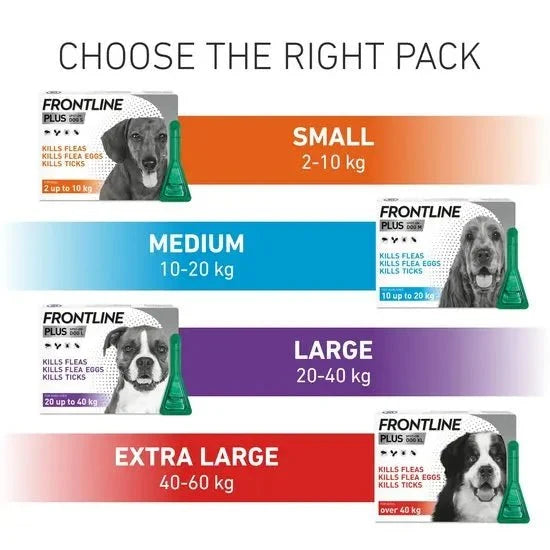 FRONTLINE Plus Flea & Tick Treatment for Large Dogs 20–40kg | 6 Pipettes fragrance