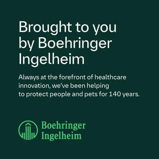 FRONTLINE Plus Flea & Tick Treatment for Large Dogs 20–40kg | 6 Pipettes fragrance