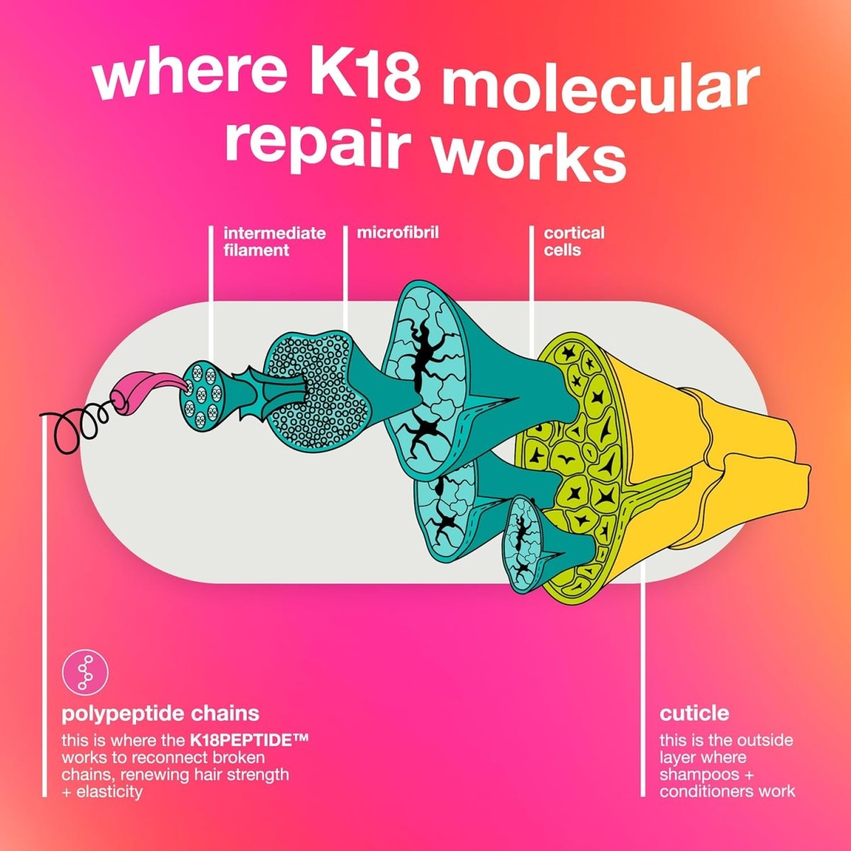 K18 Biomimetic Hairscience Leave-In Molecular Repair Hair Mask 50ml fragrance