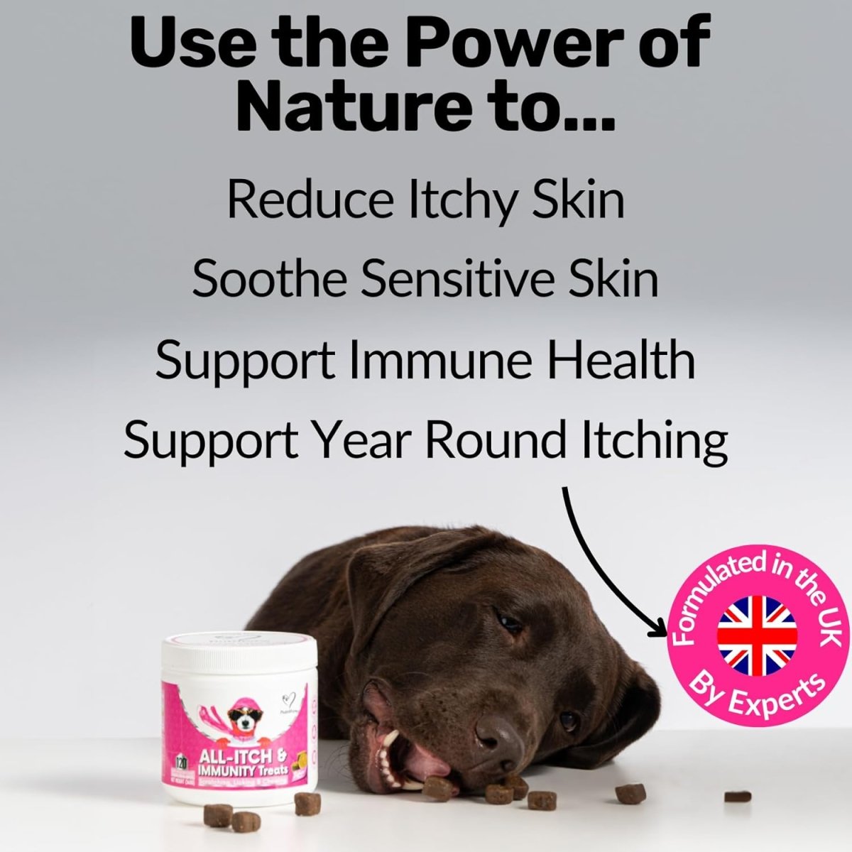NutriPaw All-Itch & Immunity Treats for Dogs 120 Tablets | Skin, Coat & Immune Support fragrance