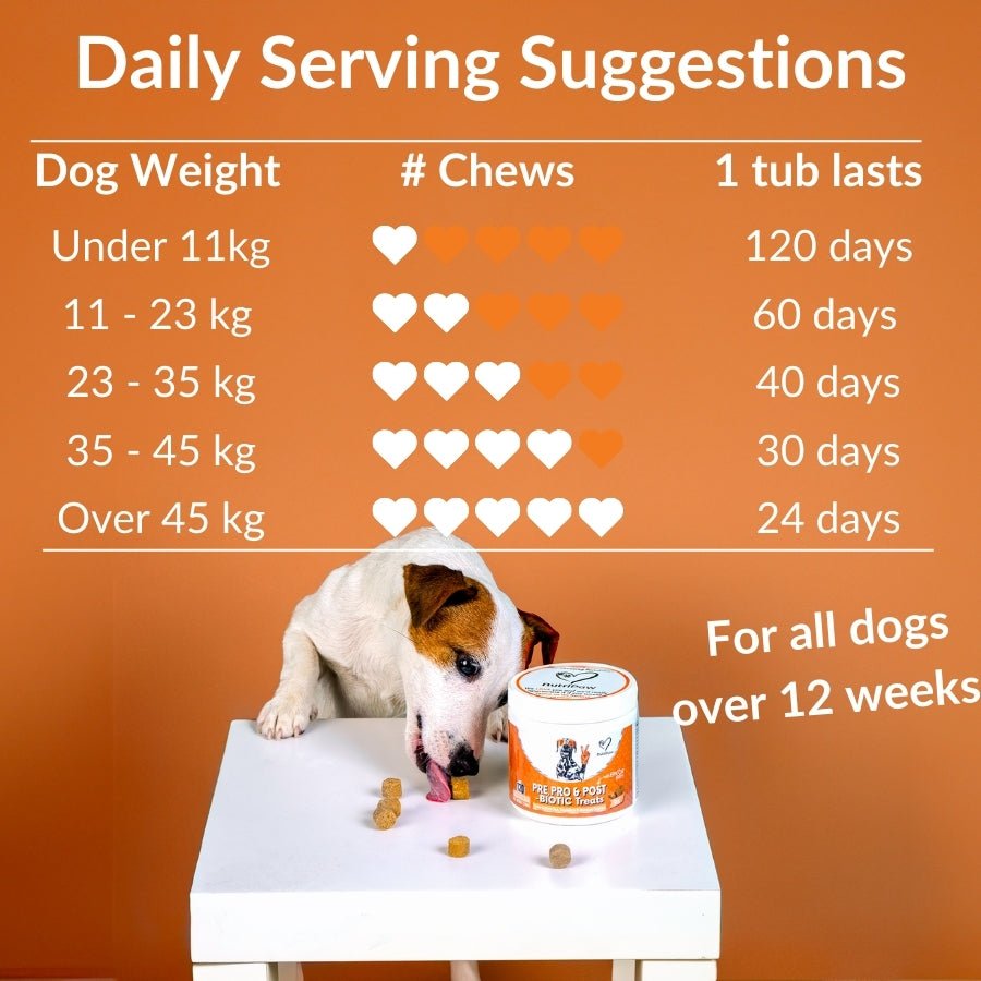 NutriPaw Pre, Pro and Postbiotic Supplement Treats For Dogs 120 Pack 300g fragrance