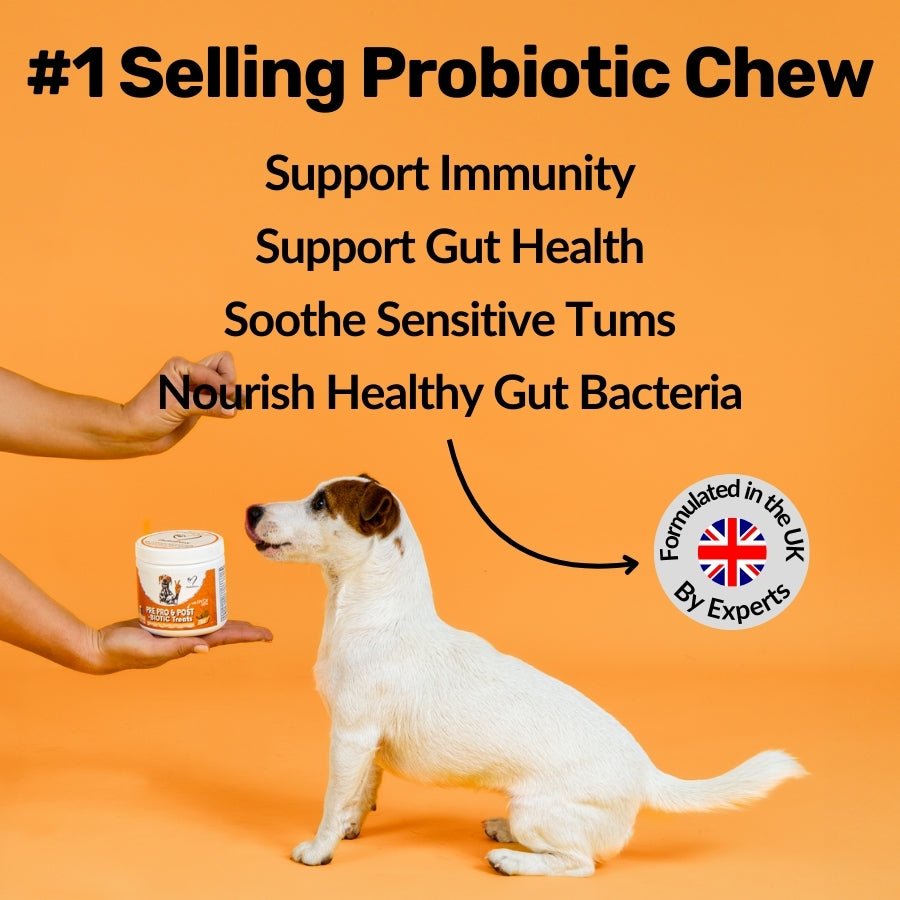 NutriPaw Pre, Pro and Postbiotic Supplement Treats For Dogs 120 Pack 300g fragrance