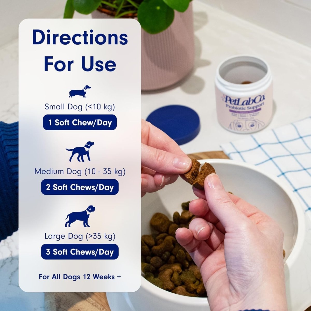 PetLab Co. Probiotic Dog Chews | Digestive & Gut Health Support 30 Soft Chews fragrance
