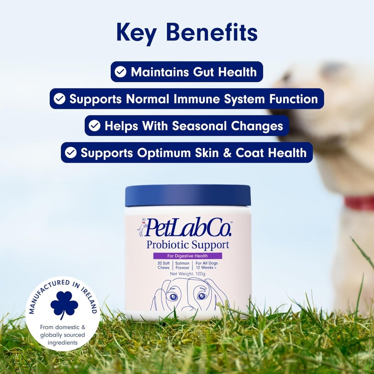 PetLab Co. Probiotic Dog Chews | Digestive & Gut Health Support 30 Soft Chews fragrance
