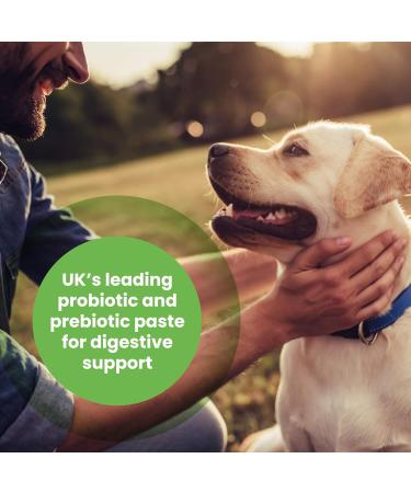 Protexin Pro-Kolin Paste for Dogs & Cats 60ml | Digestive Support & Probiotic Supplement fragrance