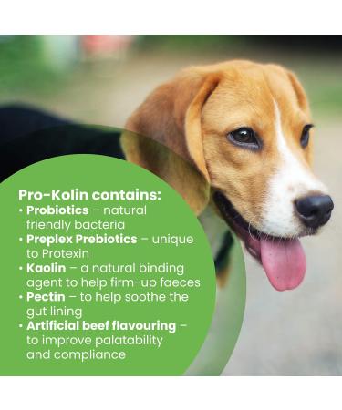 Protexin Pro-Kolin Paste for Dogs & Cats 60ml | Digestive Support & Probiotic Supplement fragrance