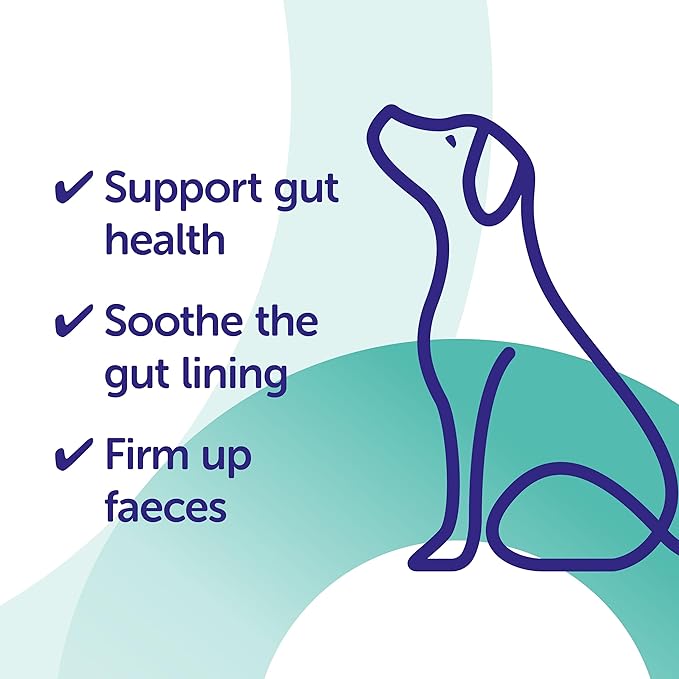 Protexin Veterinary Pro-Kolin Advanced Paste for Dogs 60ml | Digestive Support Supplement fragrance