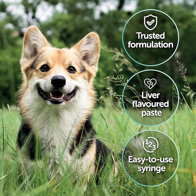 Protexin Veterinary Pro-Kolin Advanced Paste for Dogs 60ml | Digestive Support Supplement fragrance